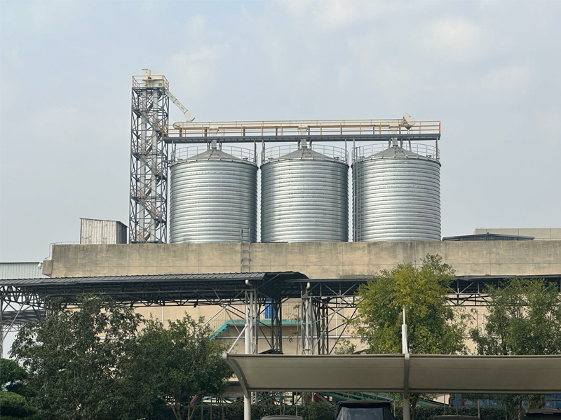 创新创造，共创未来 | 恒欣仓储承建的宝隆米业二期3000吨稻谷筒仓项目正式投产